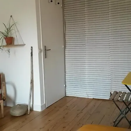 Hébergement de vacances L' Albizia *